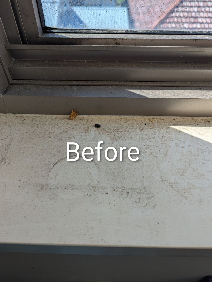 Dusty window sill and tracks with dead insects and grime