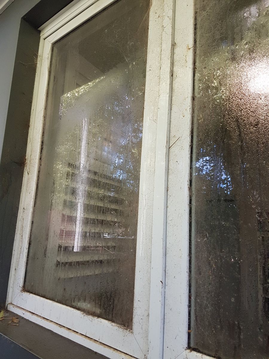 Exterior window covered in cobwebs, dirt and water spots