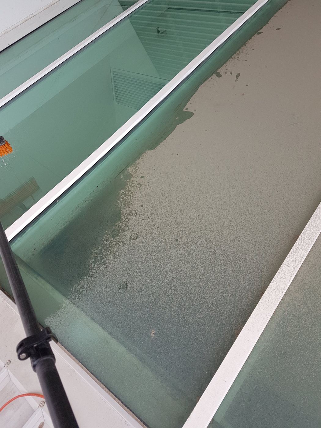 Glass roof panel half cleaned, showing built-up grime next to clear glass