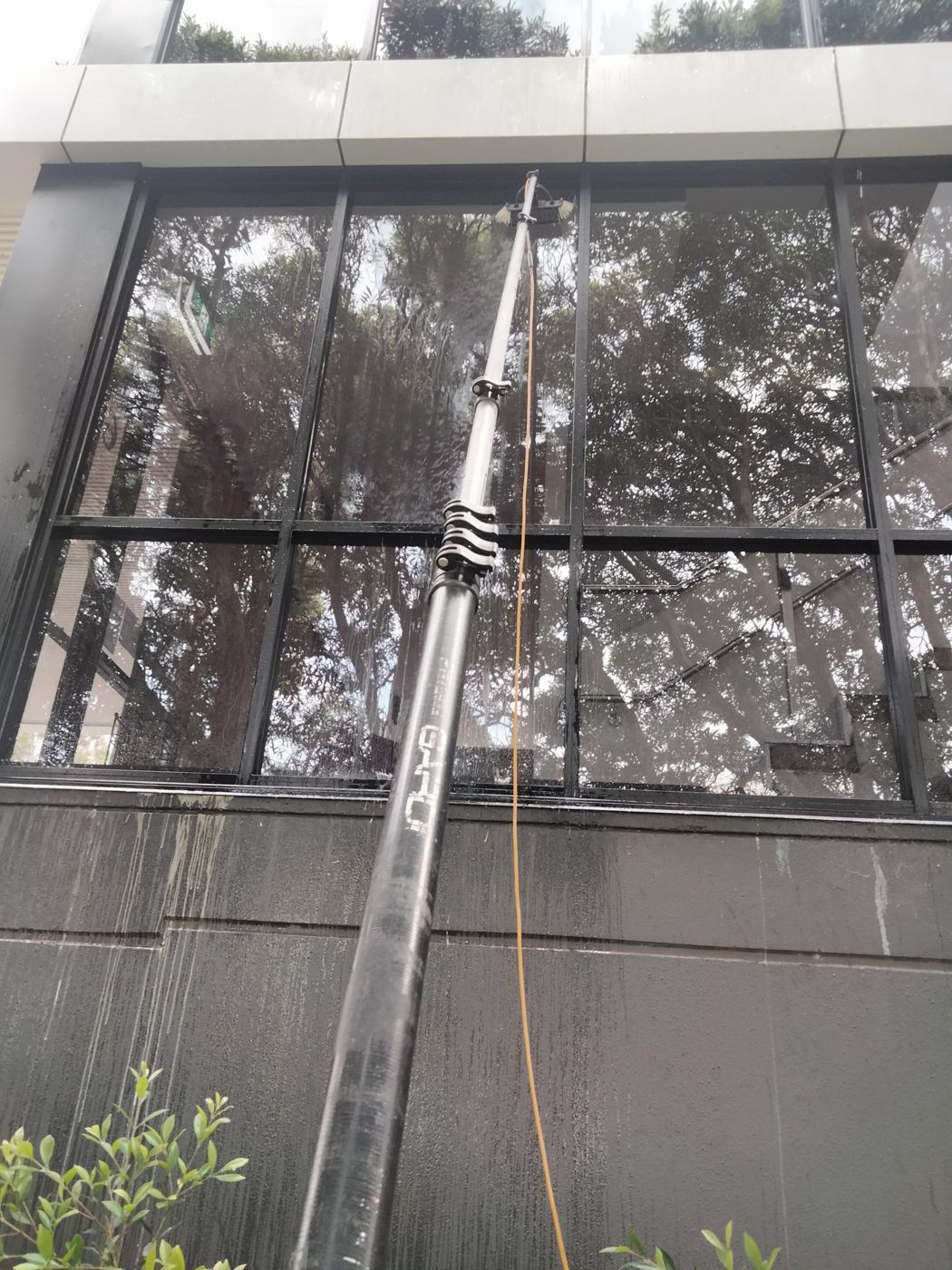 Pole brush washing a large grid of commercial windows